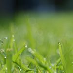Lpi LPIC-1 117-102（LPI Level 1 Exam 102）日本語版問題集